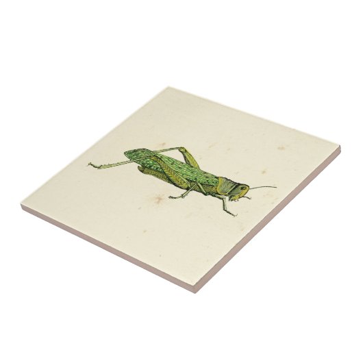 Grasshopper in der Printwerbung Fliese (Seite)