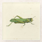 Grasshopper in der Printwerbung Glasuntersetzer (Vorderseite)
