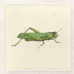 Grasshopper in der Printwerbung Glasuntersetzer