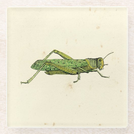 Grasshopper in der Printwerbung Glasuntersetzer (Vorderseite)