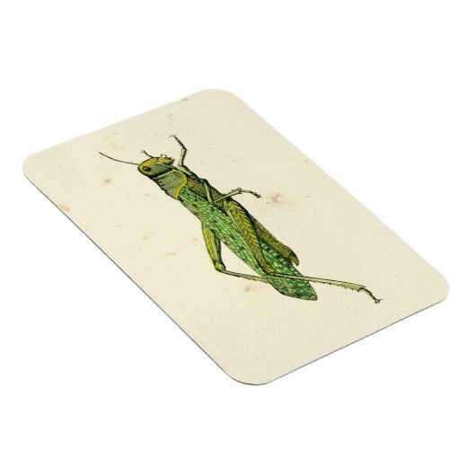 Grasshopper in der Printwerbung Magnet (Rechte Seite)