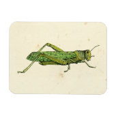 Grasshopper in der Printwerbung Magnet (Horizontal)