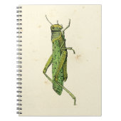 Grasshopper in der Printwerbung Notizblock (Vorderseite)