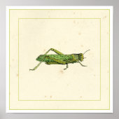 Grasshopper in der Printwerbung Poster (Vorne)