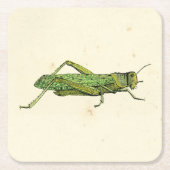 Grasshopper in der Printwerbung Rechteckiger Pappuntersetzer (Vorderseite)