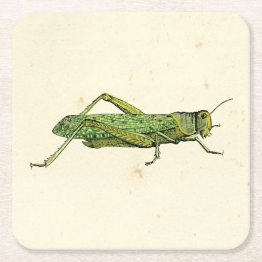 Grasshopper in der Printwerbung Rechteckiger Pappuntersetzer (Vorderseite)