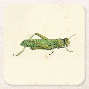 Grasshopper in der Printwerbung Rechteckiger Pappuntersetzer