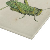 Grasshopper in der Printwerbung Schneidebrett (Ecke)