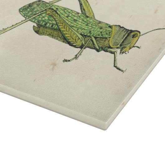 Grasshopper in der Printwerbung Schneidebrett (Ecke)