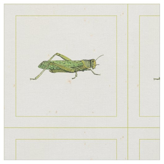 Grasshopper in der Printwerbung Stoff (Nahaufnahme)