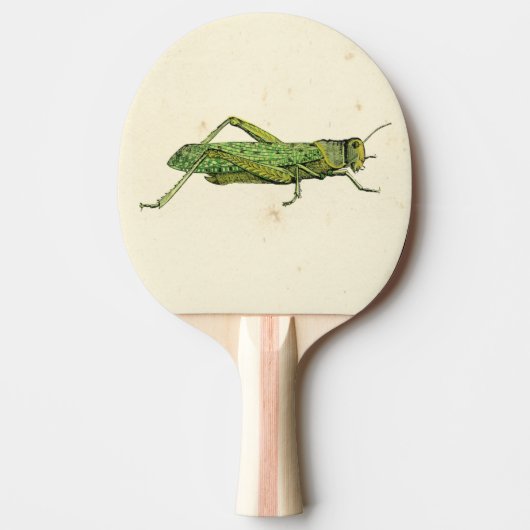 Grasshopper in der Printwerbung Tischtennis Schläger (Vorderseite)