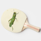 Grasshopper in der Printwerbung Tischtennis Schläger (Seitenansicht)
