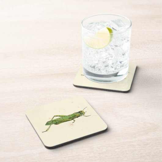 Grasshopper in der Printwerbung Untersetzer (Rechte Seite)