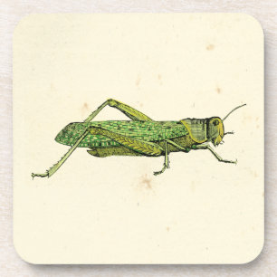 Grasshopper in der Printwerbung Untersetzer
