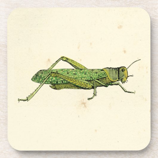 Grasshopper in der Printwerbung Untersetzer (Vorderseite)
