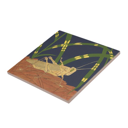 Grasshopper in grünem Gras im blauen Hintergrund Fliese (Seite)