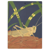 Grasshopper in grünem Gras im blauen Hintergrund Klemmbrett (Rückseite)