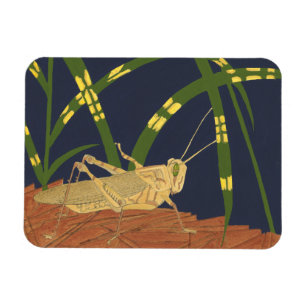 Grasshopper in grünem Gras im blauen Hintergrund Magnet