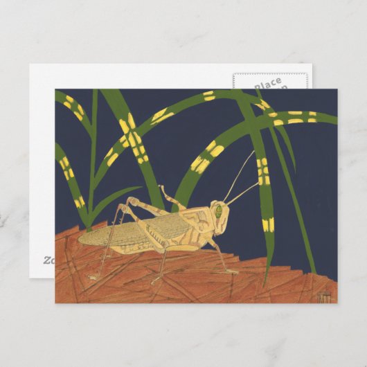 Grasshopper in grünem Gras im blauen Hintergrund Postkarte (Vorne/Hinten)