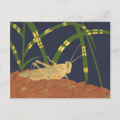 Grasshopper in grünem Gras im blauen Hintergrund Postkarte (Vorderseite)