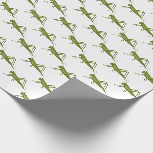 Grasshopper in Weiß Geschenkpapier (Ecke)
