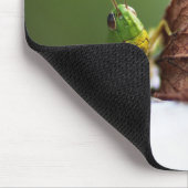 Grasshopper, Insekt, Blatt Mousepad (Ecke)