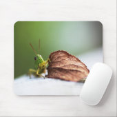 Grasshopper, Insekt, Blatt Mousepad (Mit Mouse)