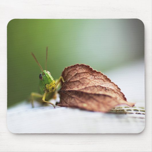 Grasshopper, Insekt, Blatt Mousepad (Vorne)