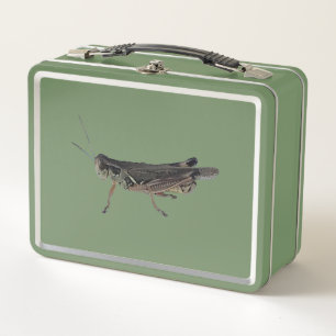 Grasshopper Insekt Foto Lunch Box