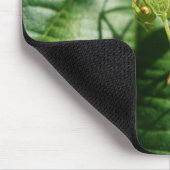Grasshopper, Insekt, Käfer, Insekt Mousepad (Ecke)