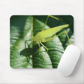 Grasshopper, Insekt, Käfer, Insekt Mousepad (Mit Mouse)