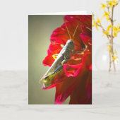 Grasshopper Karte (Gelbe Blume)