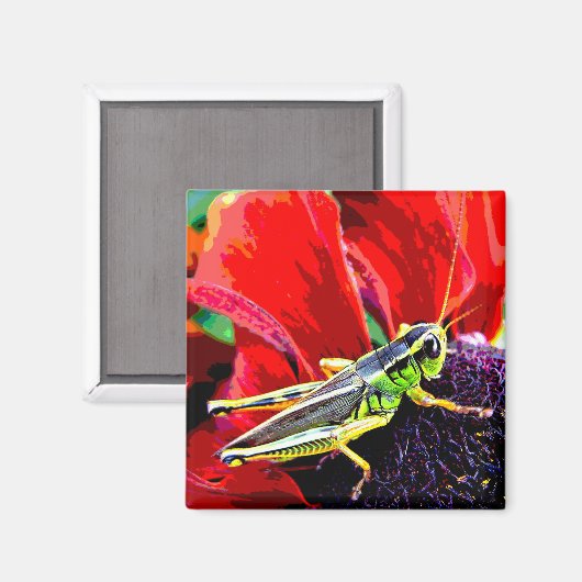 Grasshopper Magnet (Vorderseite/Rückseite)