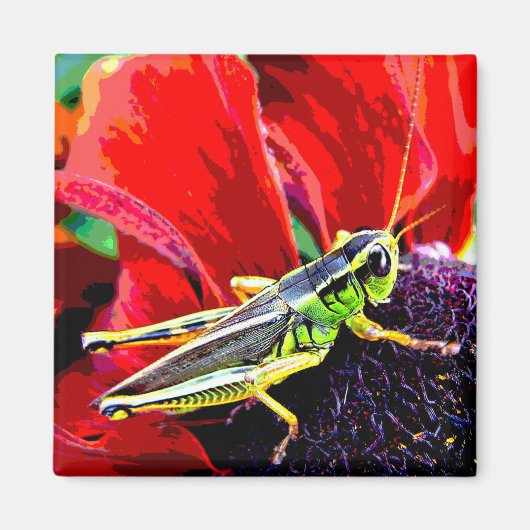 Grasshopper Magnet (Vorne)