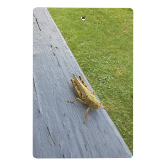 Grasshopper Mini Klemmbrett (Rückseite)