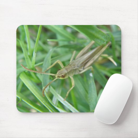Grasshopper Mousepad (Mit Mouse)