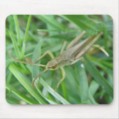 Grasshopper Mousepad (Vorne)