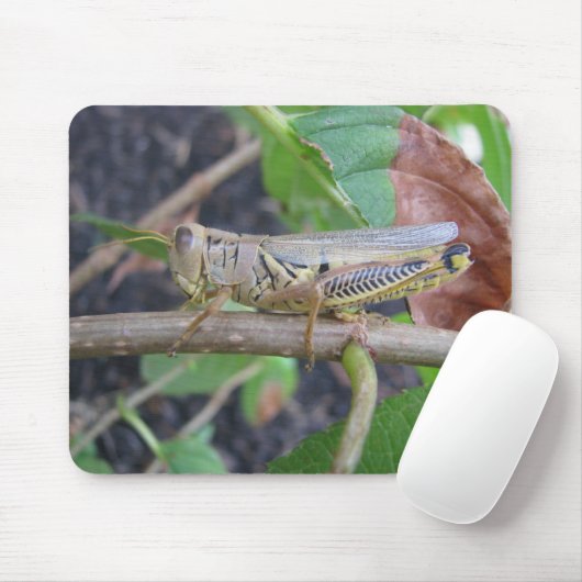 Grasshopper Mousepad (Mit Mouse)