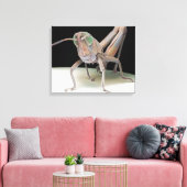 Grasshopper nymph leinwanddruck (Insitu (Wohnzimmer))