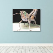 Grasshopper nymph leinwanddruck (Insitu (Holzboden))