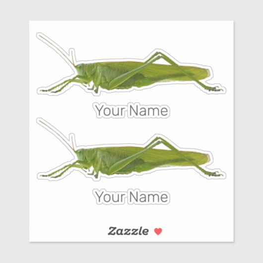Grasshopper oder Retro-Insekt Aufkleber (Blatt)