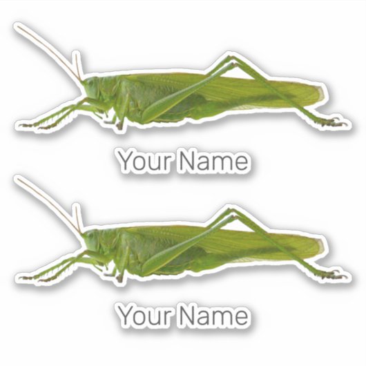 Grasshopper oder Retro-Insekt Aufkleber (Vorderseite)