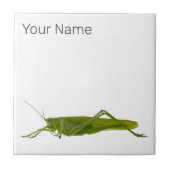 Grasshopper oder Retro-Insekt Fliese (Vorderseite)
