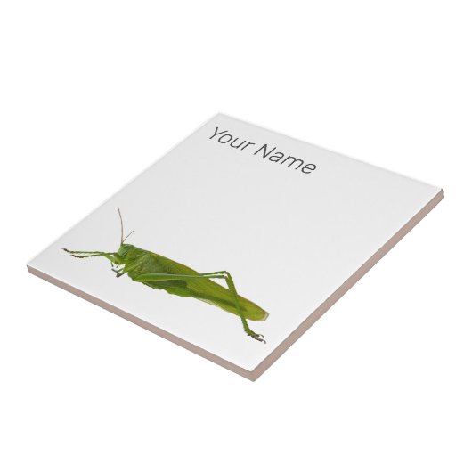 Grasshopper oder Retro-Insekt Fliese (Seite)