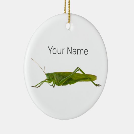 Grasshopper oder Retro-Insekt Keramik Ornament (Rechts)