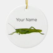 Grasshopper oder Retro-Insekt Keramik Ornament (Vorne)