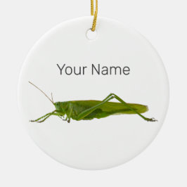 Grasshopper oder Retro-Insekt Keramik Ornament