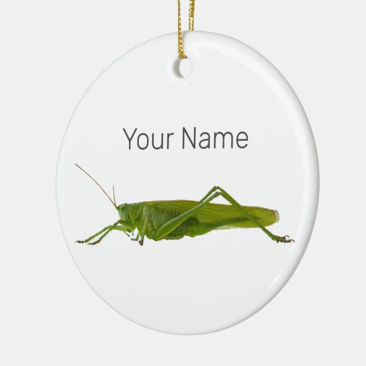Grasshopper oder Retro-Insekt Keramik Ornament (Links)