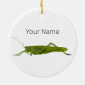 Grasshopper oder Retro-Insekt Keramik Ornament (Hinten)
