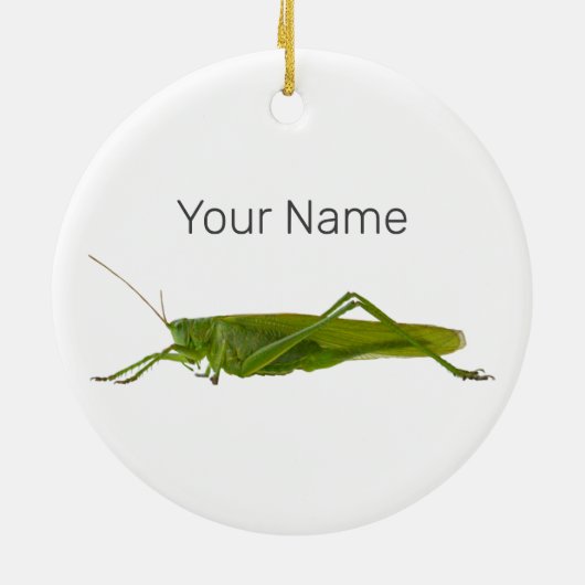 Grasshopper oder Retro-Insekt Keramik Ornament (Hinten)